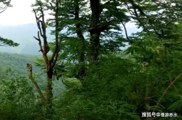 咏物诗之象祠记